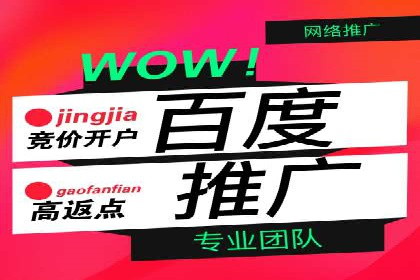 成功案例解读：SEM推广代运营策略